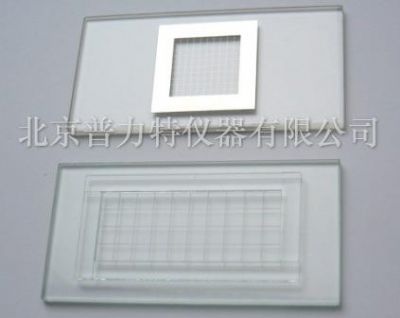 浮游生物计数框图片